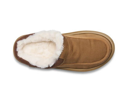Donny Cozy - Men